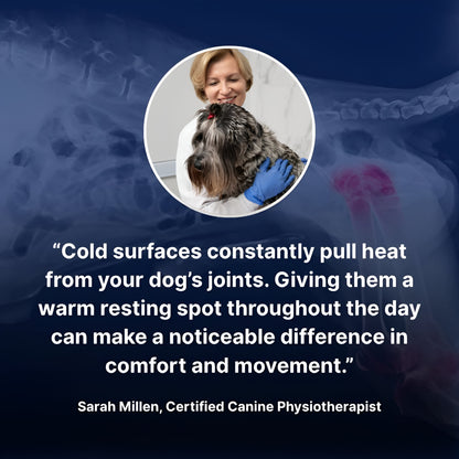 Pawva Heat Reflective Comfort Mat