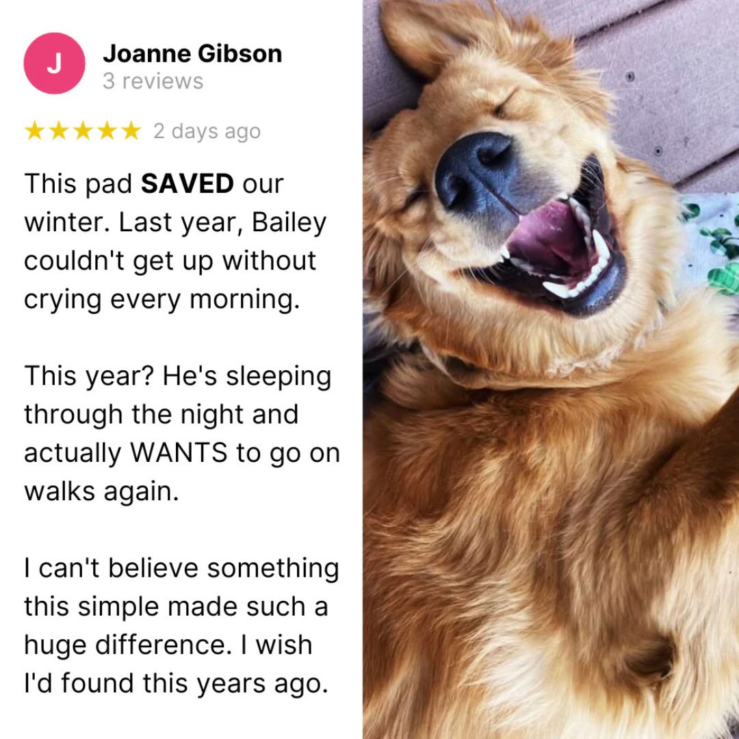 Pawva Heat Reflective Comfort Mat